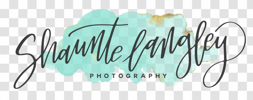 Calligraphy Brand Logo Photography Font - Text Transparent PNG
