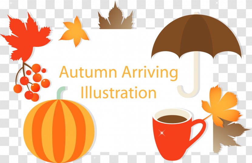 Maple Leaf Autumn Color - Pumpkin - Coffee Transparent PNG