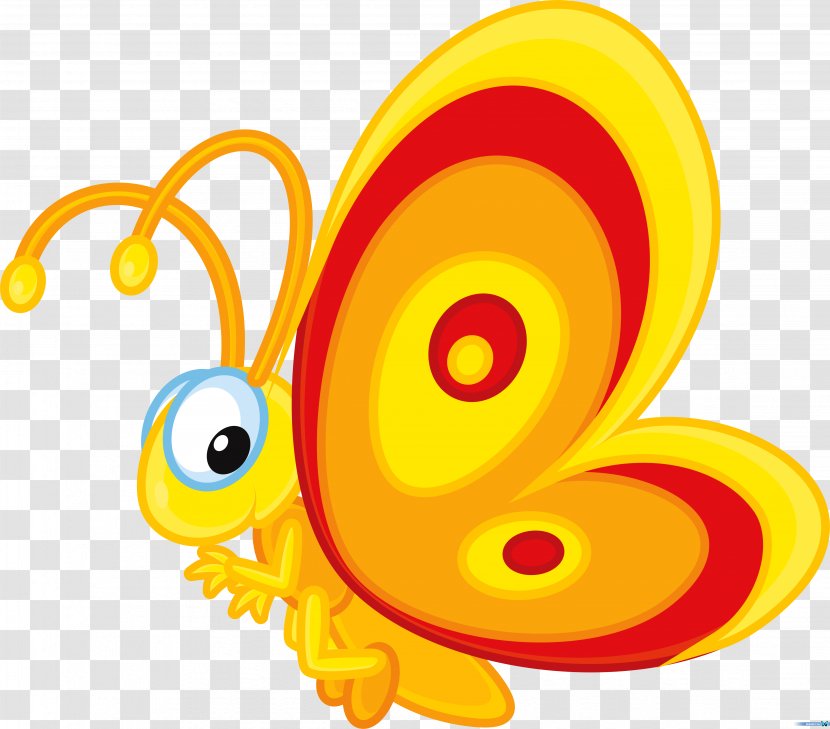 Butterfly Clip Art - Insect - Cartoon Transparent PNG