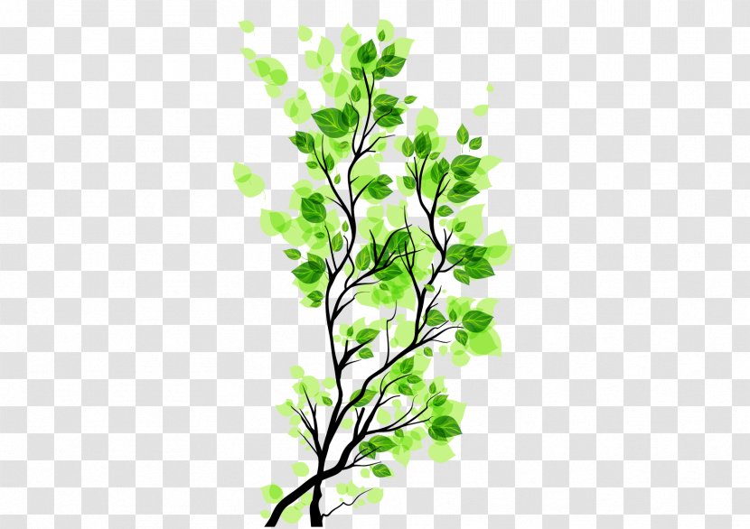 Branch Leaf - Tree - Green Leaves Image Free To Pull The Material Transparent PNG