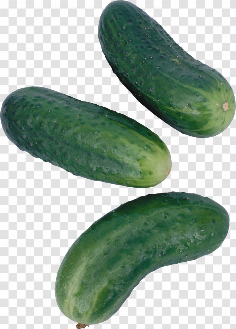 Pickled Cucumber Spreewald Gherkins Brined Pickles Half Sour - Fruit Transparent PNG