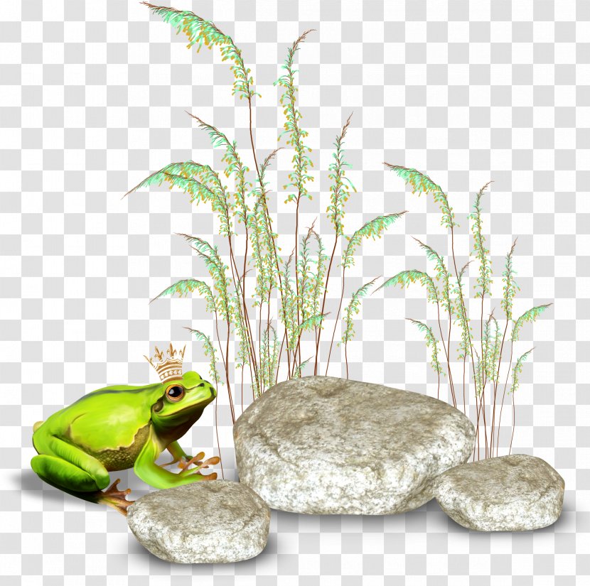 Frog Centerblog - Playstation Portable - Grass Transparent PNG