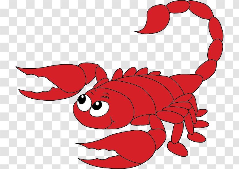 Clip Art Illustration Cartoon Sage Elementary School Crab - Scorpion Transparent PNG