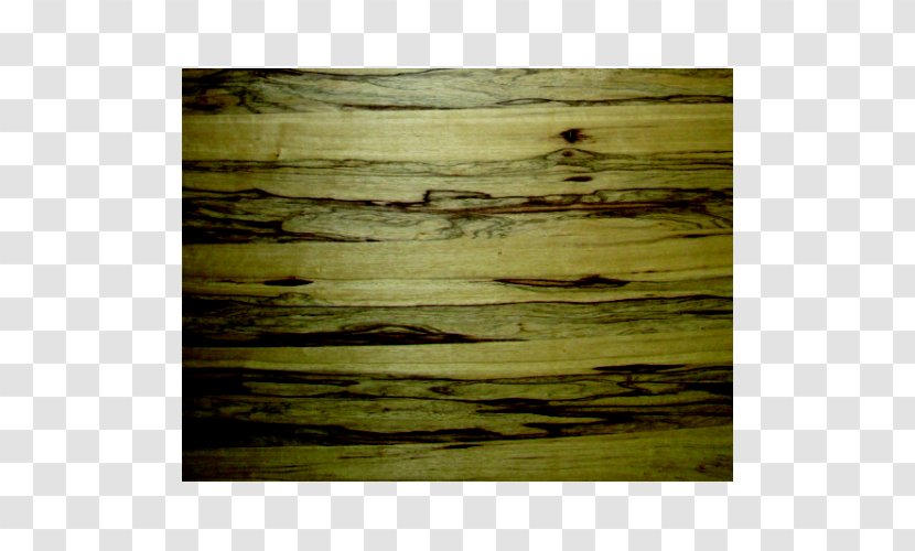 Wood Stain /m/083vt Transparent PNG