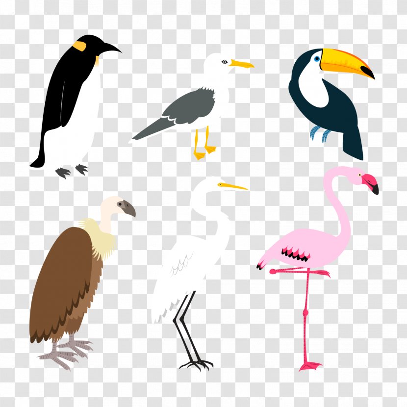 Bird Flamingos Crane Plot - Cartoon - Creative Design Vector Material Birds Transparent PNG