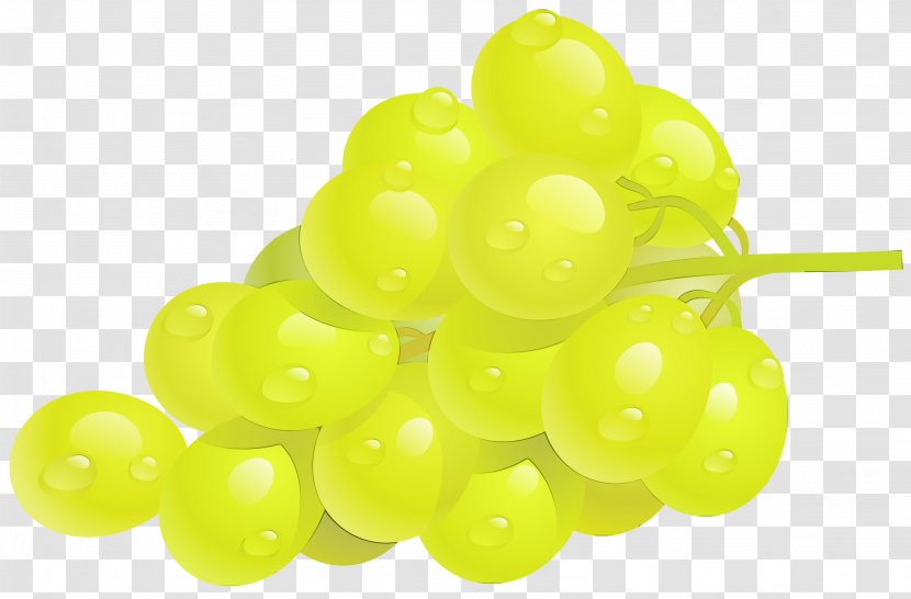 Grape Seedless Fruit Grapevine Family Vitis - Paint - Zante Currant Transparent PNG