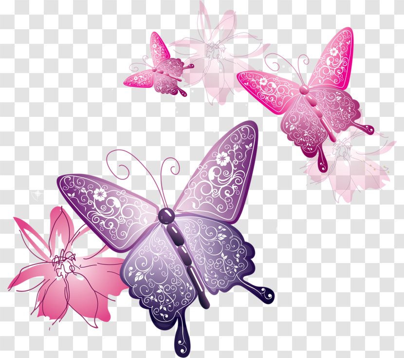 Butterfly Clip Art - Display Resolution Transparent PNG