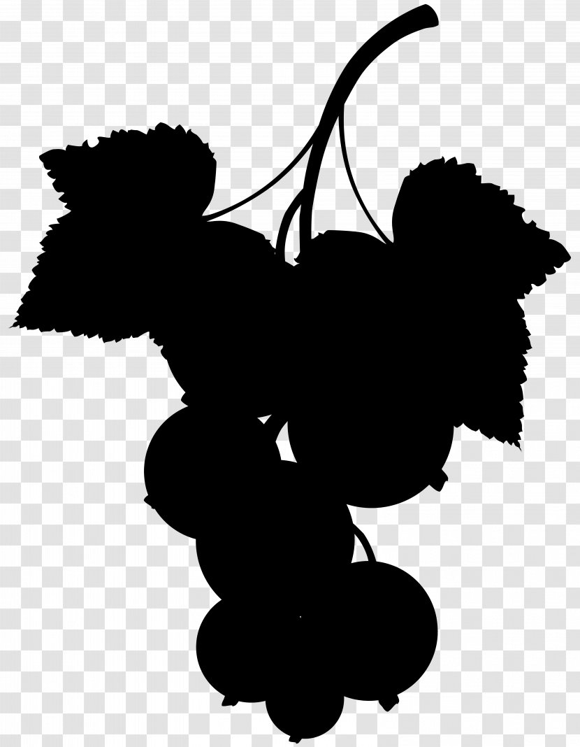 Grape Drawing Blackcurrant Le Cassis - Silhouette - Blackandwhite Transparent PNG