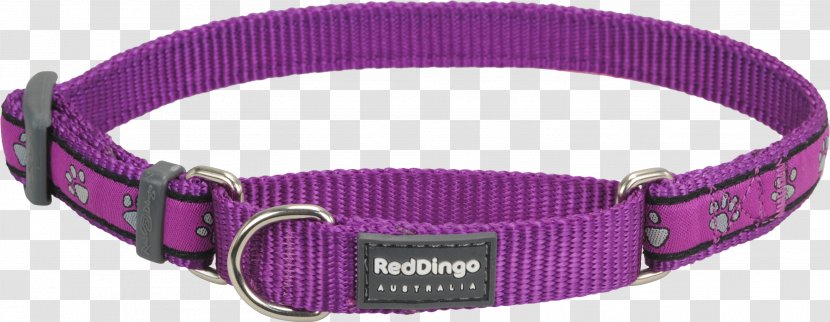 Dog Collar Dingo Martingale - Collars Transparent PNG