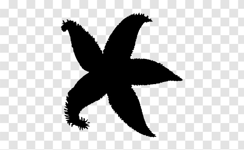 Bird Black-and-white Symbol Silhouette Wing Transparent PNG
