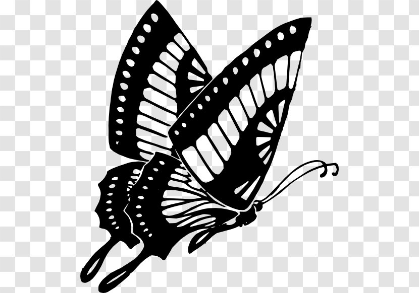 Butterfly Drawing Clip Art - Pollinator - 75% Transparent PNG