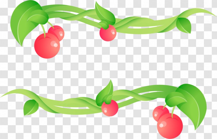 Cherry Cerasus Clip Art - Food - Aftabshireen Transparent PNG