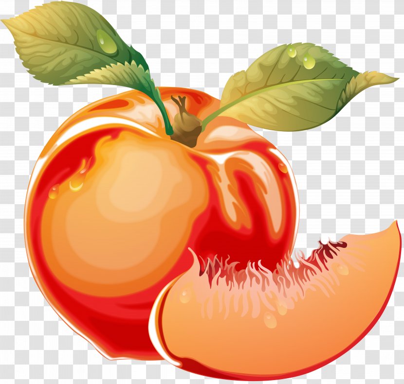 Peach Clip Art - Tomato Transparent PNG