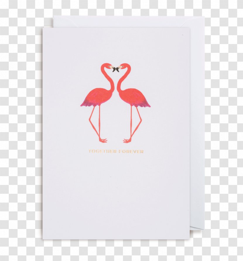 Vertebrate Water Bird Beak Flamingo - Animal - Creative Card Vouchers Transparent PNG