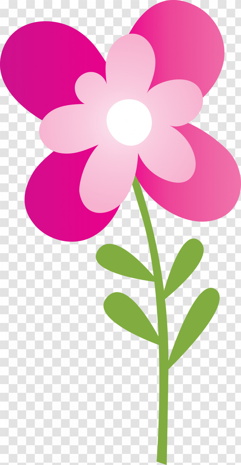 Pink Flower Petal Plant Violet Transparent PNG