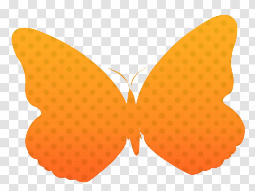 Butterfly Desktop Wallpaper - Moths And Butterflies Transparent PNG