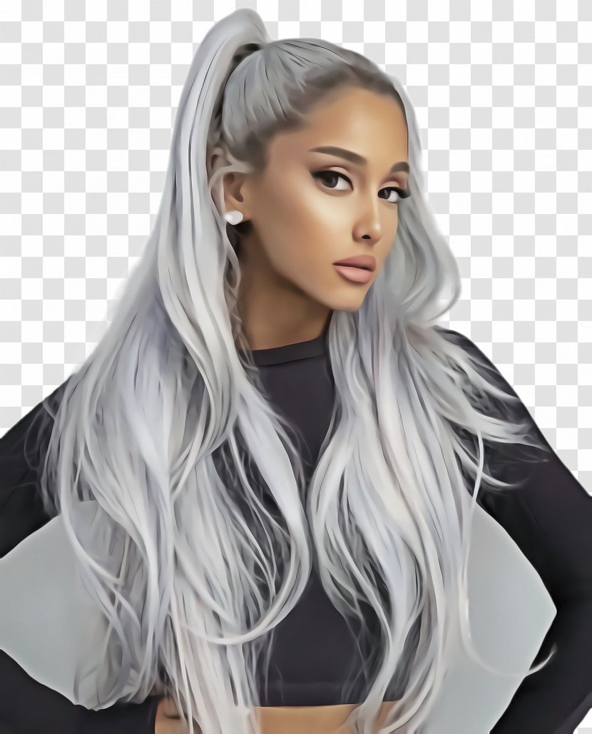 Silver Background - Hair - Feathered Brown Transparent PNG