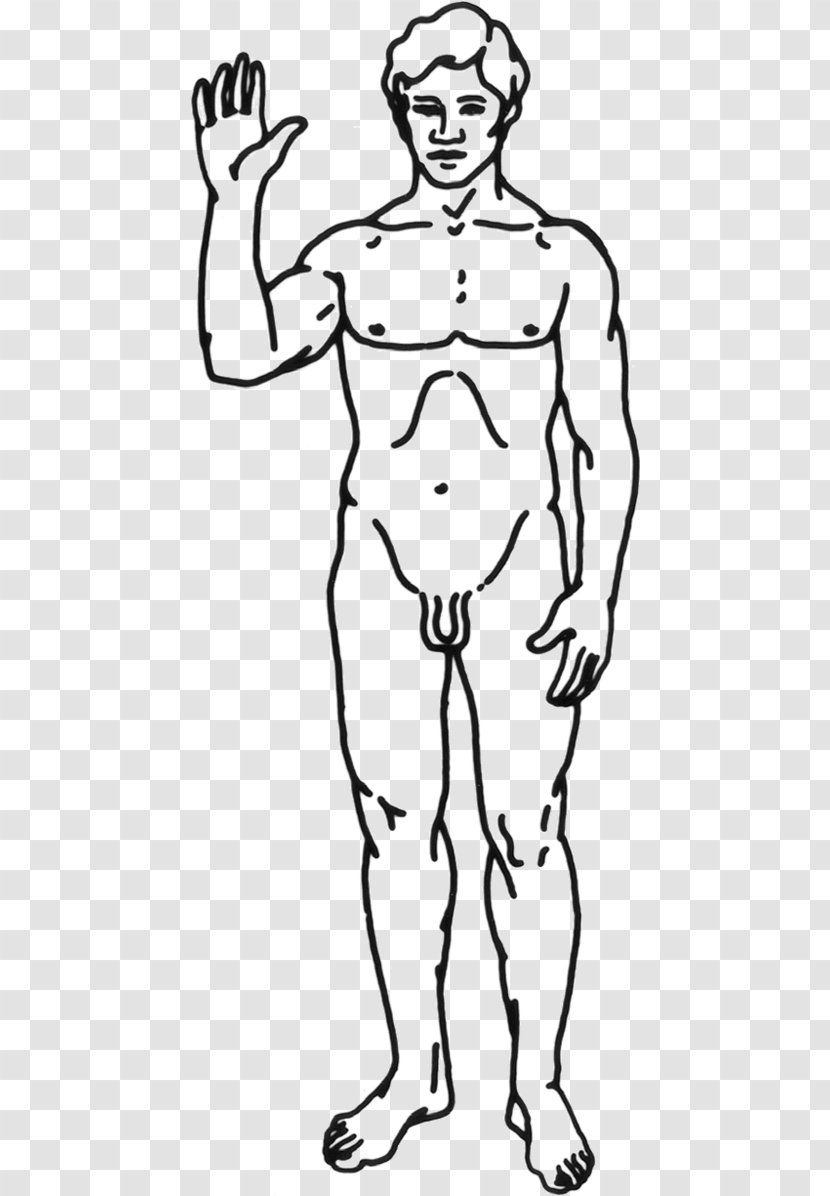 Clip Art Human Body GIF Vector Graphics - Silhouette - Humen Transparent PNG
