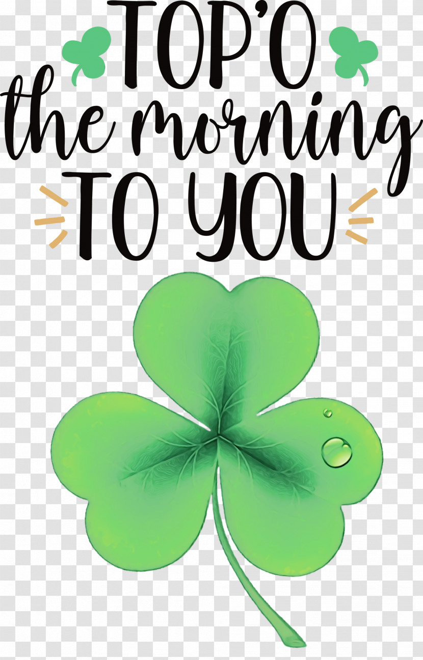 Shamrock Transparent PNG