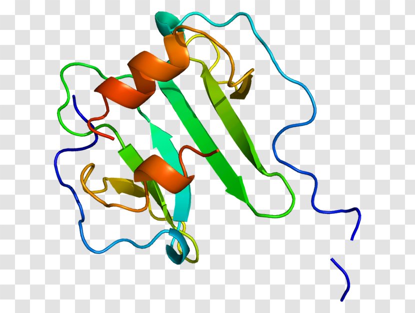 Stromal Cell-derived Factor 1 CXC Chemokine Receptors CXCR4 Cytokine - Cell Transparent PNG