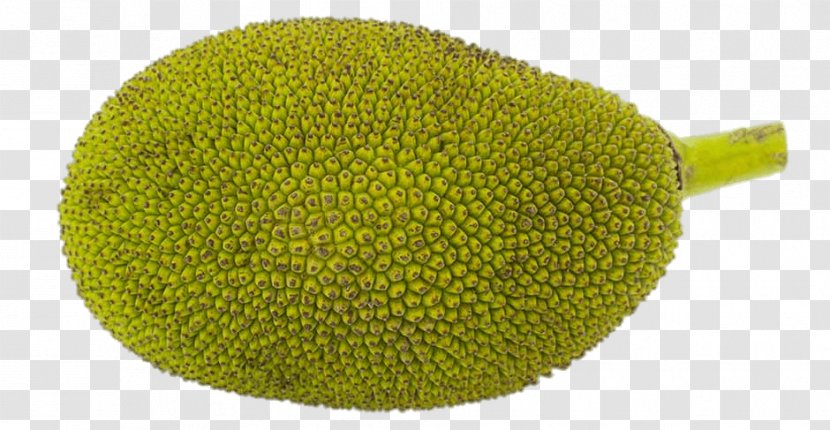 Jackfruit Food Breadfruit Banana - Lemon Transparent PNG