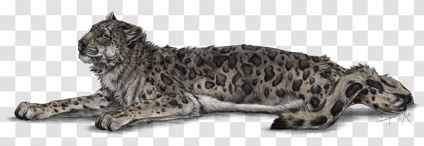 Cat Leopard Whiskers Felidae Lion - Mammal Transparent PNG