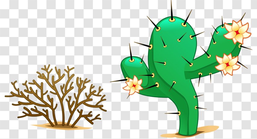 Desert Clip Art - Cactus Transparent PNG