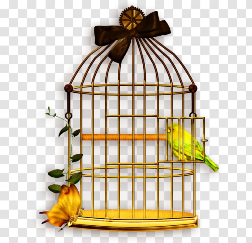 Lovebird Domestic Canary Budgerigar Cockatiel - Cage - Bird Transparent PNG