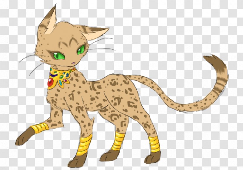 Whiskers Cheetah Cat Clip Art - Vertebrate Transparent PNG