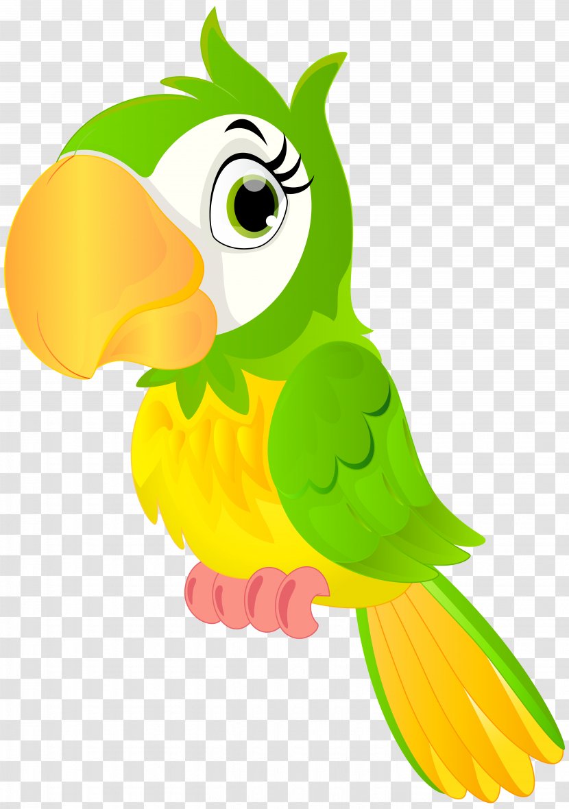 Parrot Bird Animation Cartoon Clip Art Transparent PNG