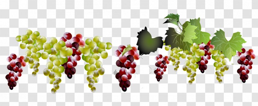 Grape Natural Foods Grapevine Family Fruit Seedless - Berry Vitis Transparent PNG