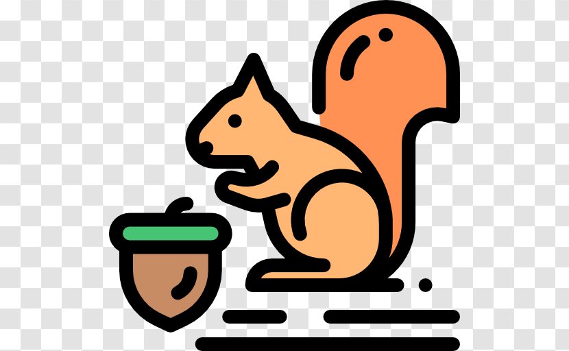 Squirrel - Animal Transparent PNG