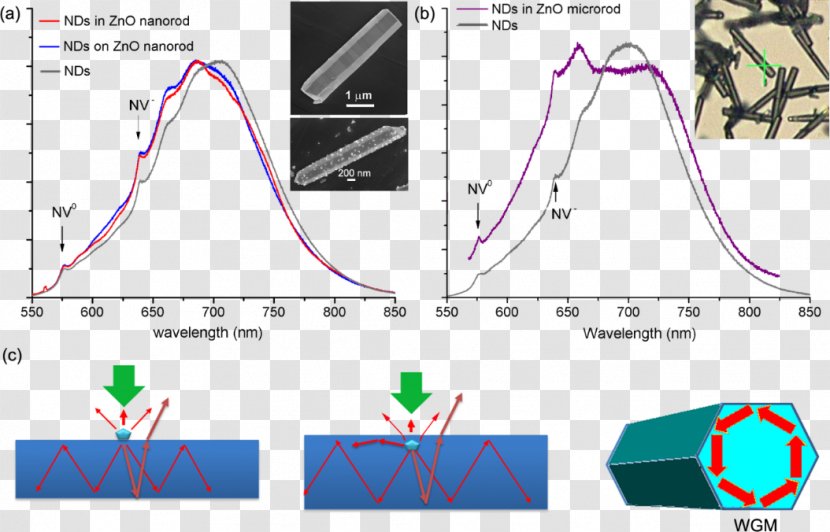 Nanorod Zinc Oxide Nanoparticle Material Light-emitting Diode - Point - Environmental Album Transparent PNG
