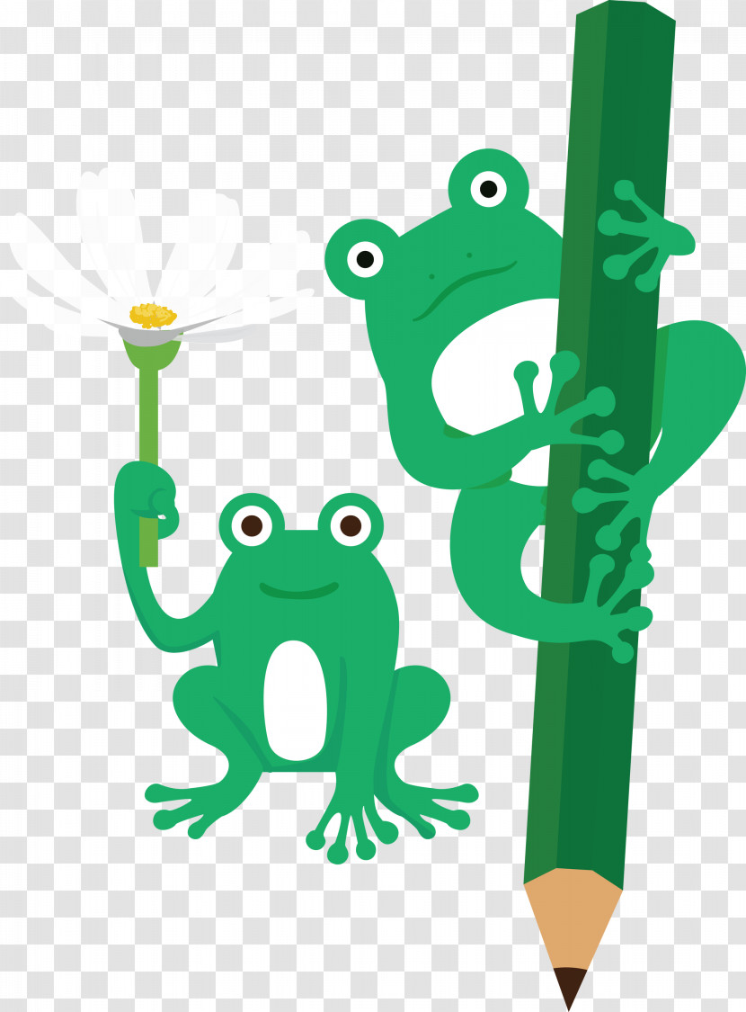 Tree Frog Frogs Cartoon Toad Green Transparent PNG