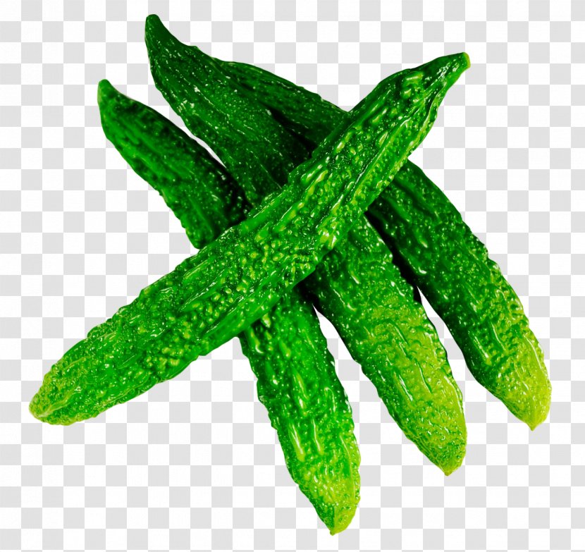 Cucumber Bitter Melon Vegetable Fruit - Gourd - Fresh Transparent PNG