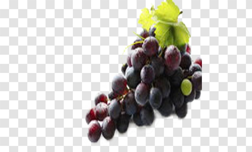 Red Wine Juice Grape Seed Extract - Natural Foods - Fresh Black Grapes Transparent PNG