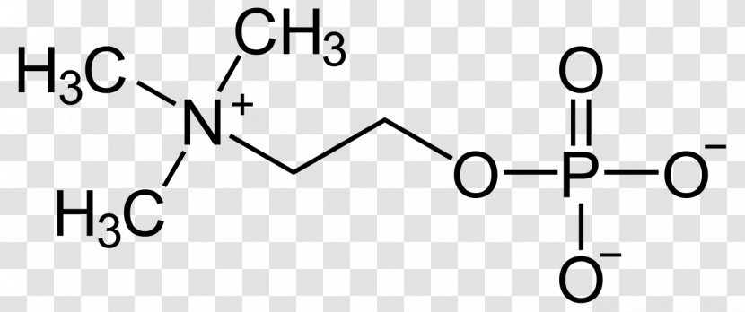 Molecule Choline Betaine Trimethylglycine Amino Acid - Heart - Tree Transparent PNG