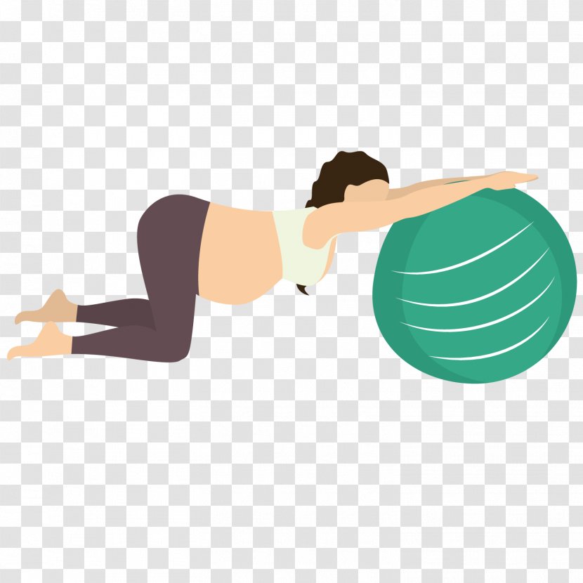 Physical Exercise Yoga Pregnancy Illustration - Sports Pregnant Women Transparent PNG