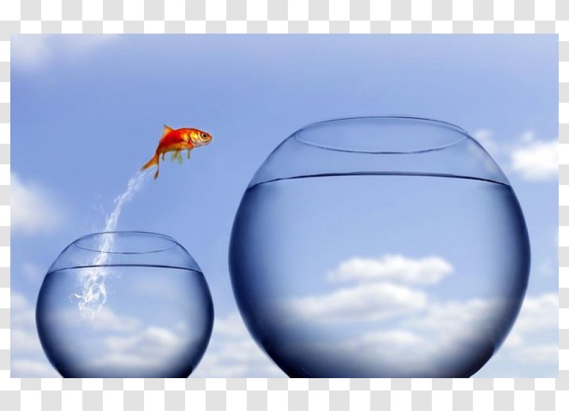 Leap Of Faith Author Jumping Stock Photography - Intuition Transparent PNG
