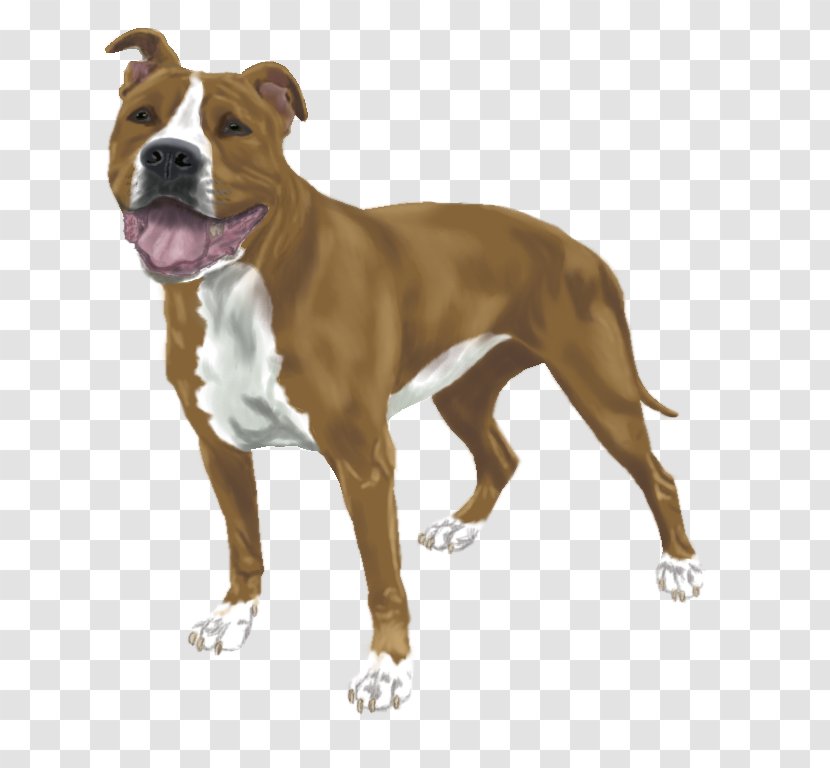 American Staffordshire Terrier Pit Bull Dog Breed - Mars Baton Transparent PNG