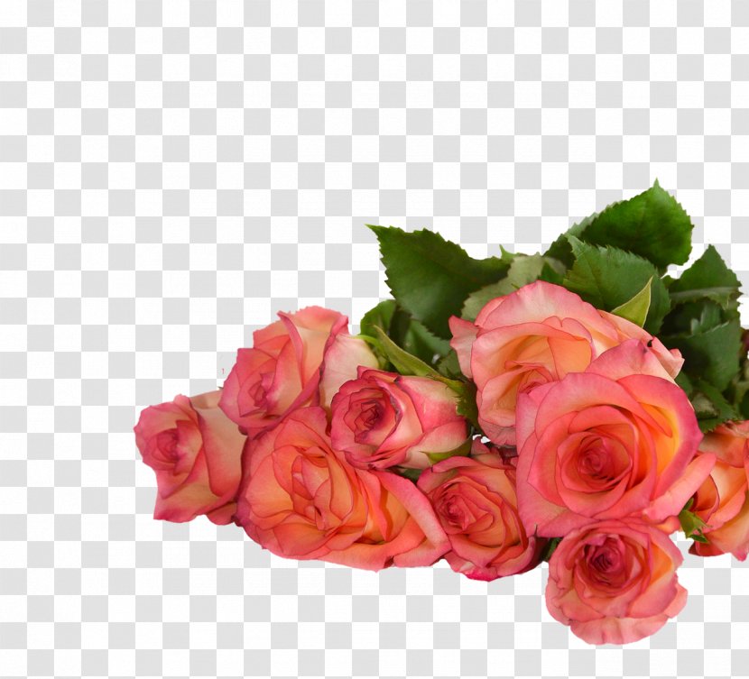 Image New Year Birthday Stock.xchng Flower - Bouquet - Rose Petals Transparent PNG