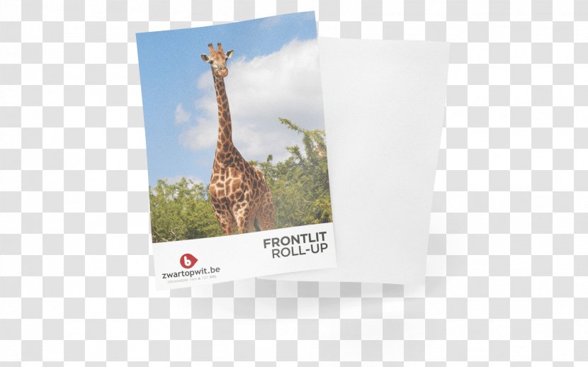 Giraffe Brand - Giraffidae - Rollup Banner Transparent PNG