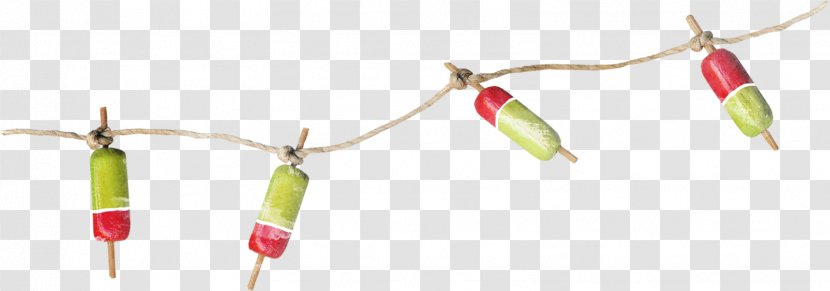 Hemp Rope Green Red - Small And Elements Hanging On The Transparent PNG
