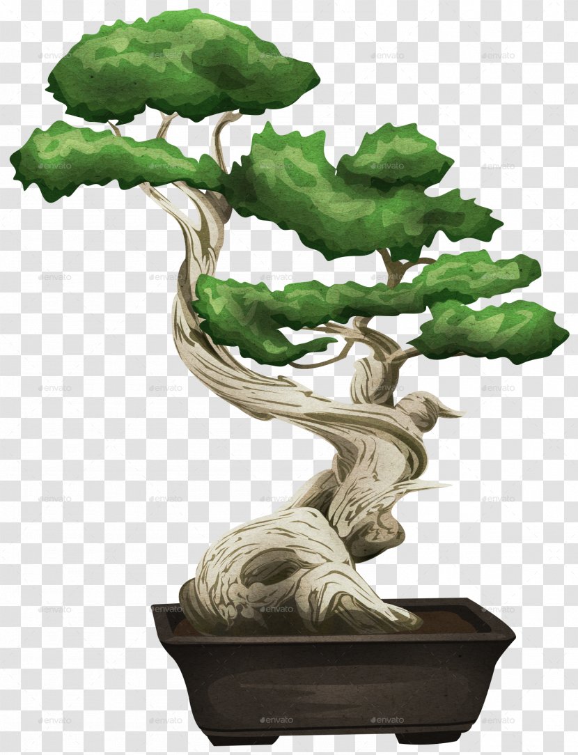 Bonsai Tree Sageretia Theezans Flowerpot Houseplant - Lumberjack Transparent PNG