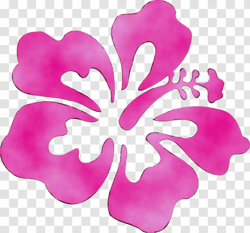 Petal June 0 Flower May - Mallow Family - South Transparent PNG