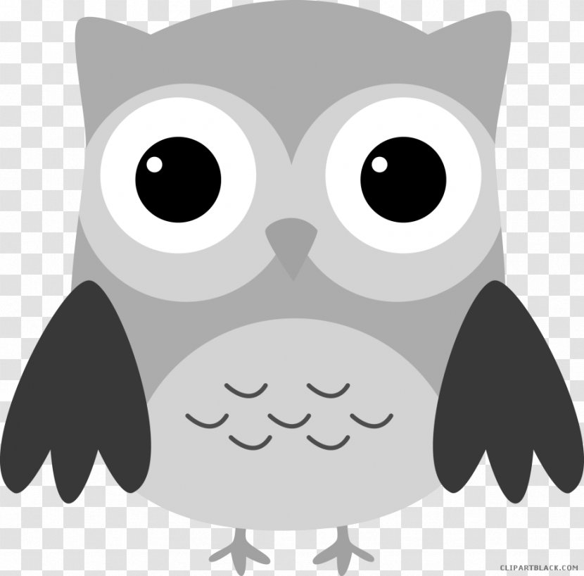 Owl Bird Clip Art Illustration Image - Snowy Transparent PNG