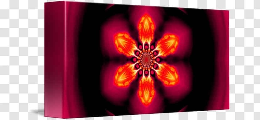 Desktop Wallpaper Computer - Floral Dream Catcher Transparent PNG