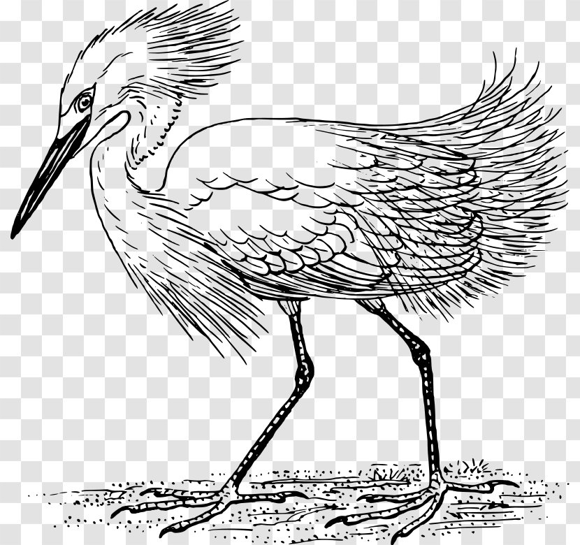 Heron Egret Crane Bird Clip Art Transparent PNG