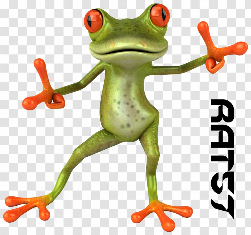 Frog Animation 3D Computer Graphics Cartoon Clip Art - Tree Transparent PNG