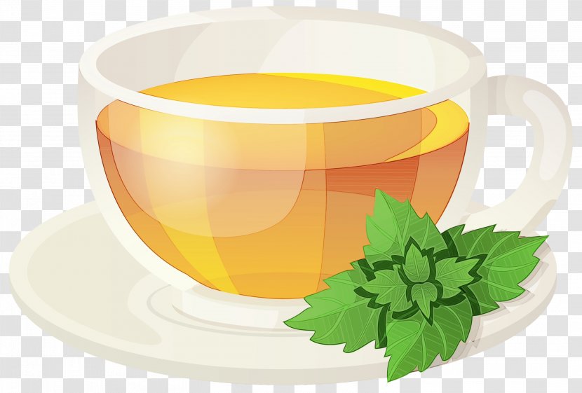 Leaf Green Tea - Plant - Ingredient Saucer Transparent PNG